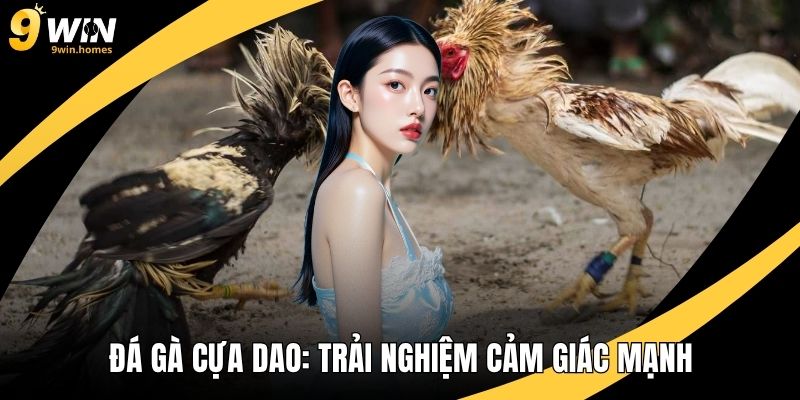 Đá Gà Cựa Dao: Trải Nghiệm Cảm Giác Mạnh Trong Mỗi Trận Đấu