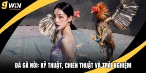 Đá Gà Nòi Thăng Hoa: Kỹ Thuật, Chiến Thuật Và Trải Nghiệm