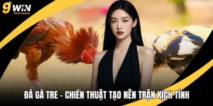 Đá Gà Tre – Chiến Thuật Và Kỹ Năng Tạo Nên Trận Kịch Tính