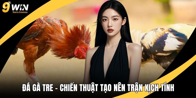 Đá Gà Tre – Chiến Thuật Và Kỹ Năng Tạo Nên Trận Kịch Tính