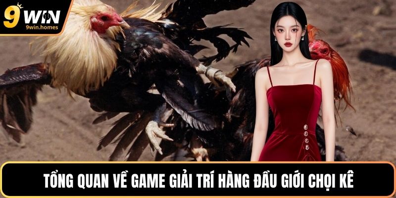Tổng quan về game giải trí hàng đầu giới chọi kê